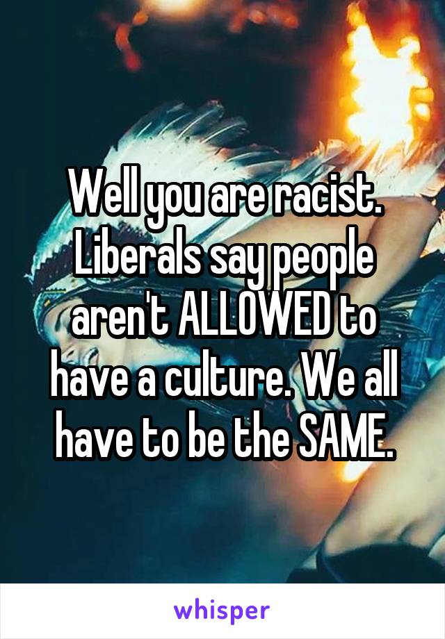 Well you are racist. Liberals say people aren't ALLOWED to have a culture. We all have to be the SAME.