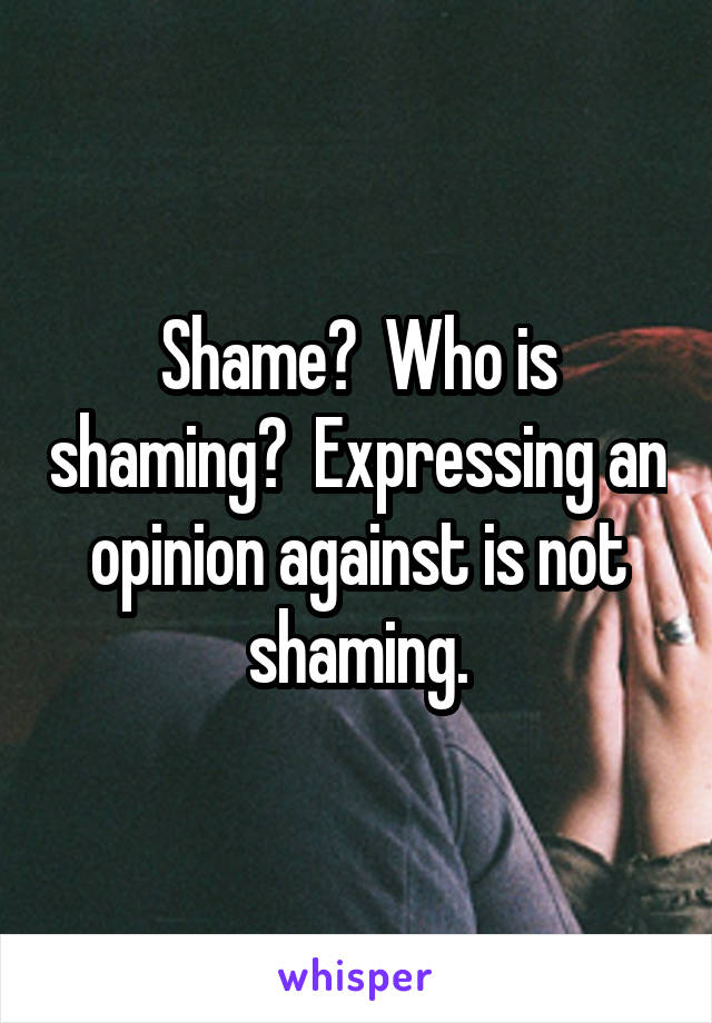 Shame?  Who is shaming?  Expressing an opinion against is not shaming.