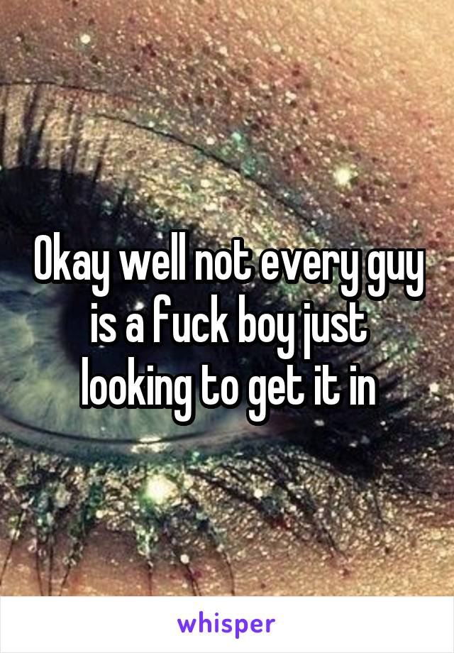 Okay well not every guy is a fuck boy just looking to get it in