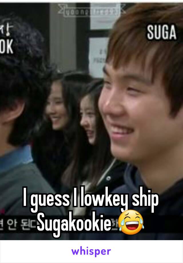 I guess I lowkey ship Sugakookie 😂