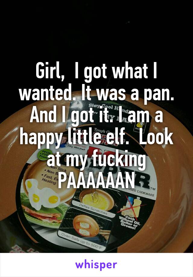 Girl,  I got what I wanted. It was a pan. And I got it. I am a happy little elf.  Look at my fucking PAAAAAAN
