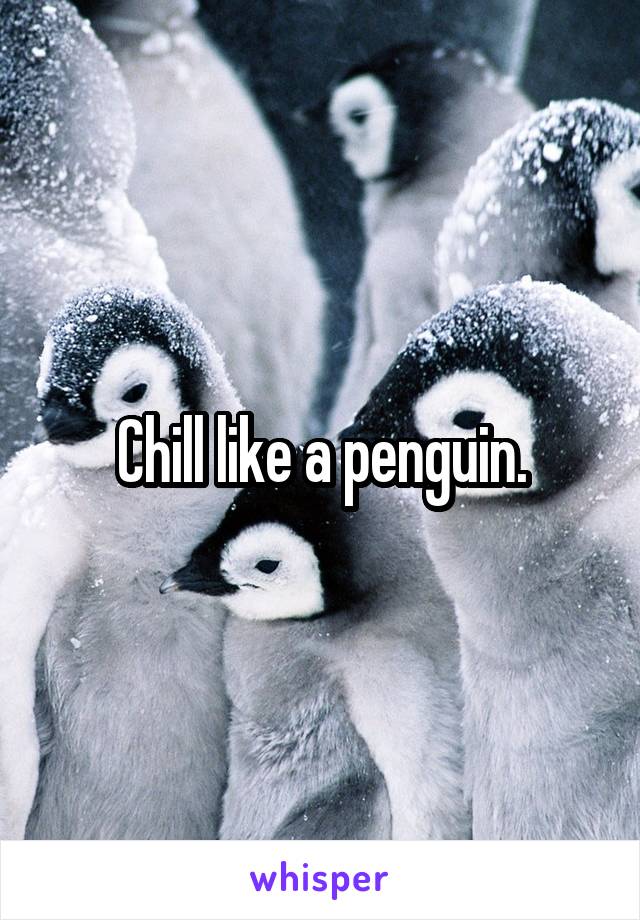Chill like a penguin.
