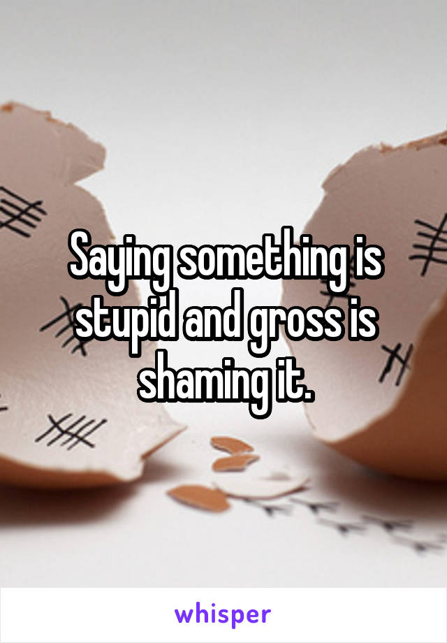 Saying something is stupid and gross is shaming it.