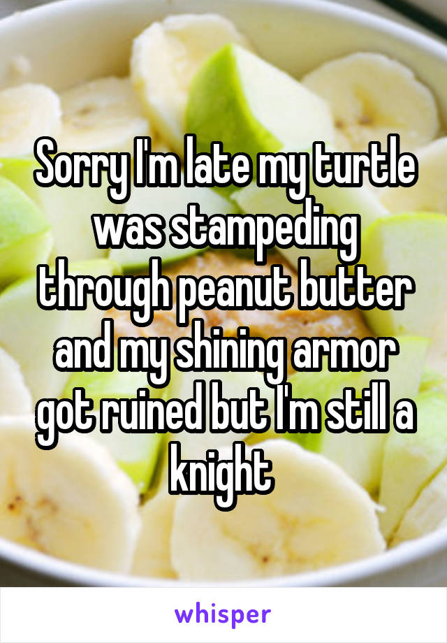 Sorry I'm late my turtle was stampeding through peanut butter and my shining armor got ruined but I'm still a knight 