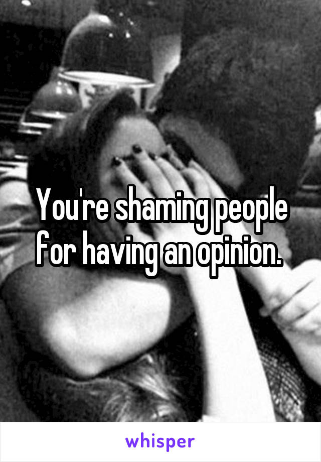 You're shaming people for having an opinion. 