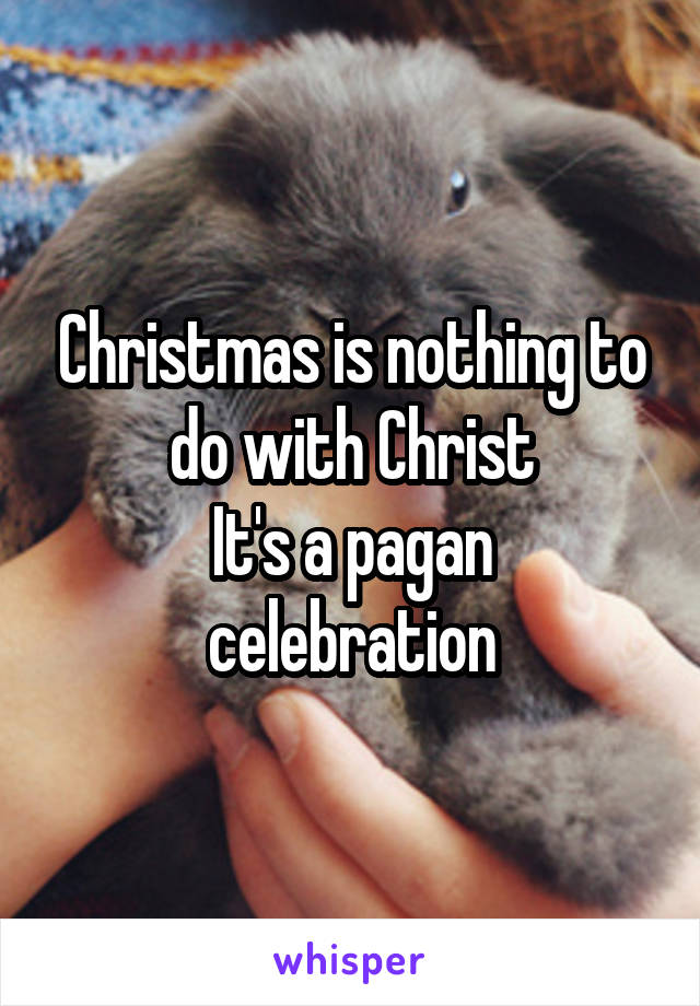 Christmas is nothing to do with Christ
It's a pagan celebration