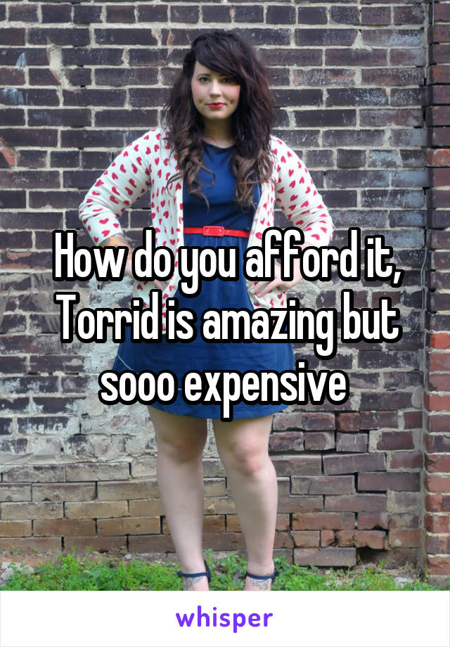 How do you afford it, Torrid is amazing but sooo expensive 