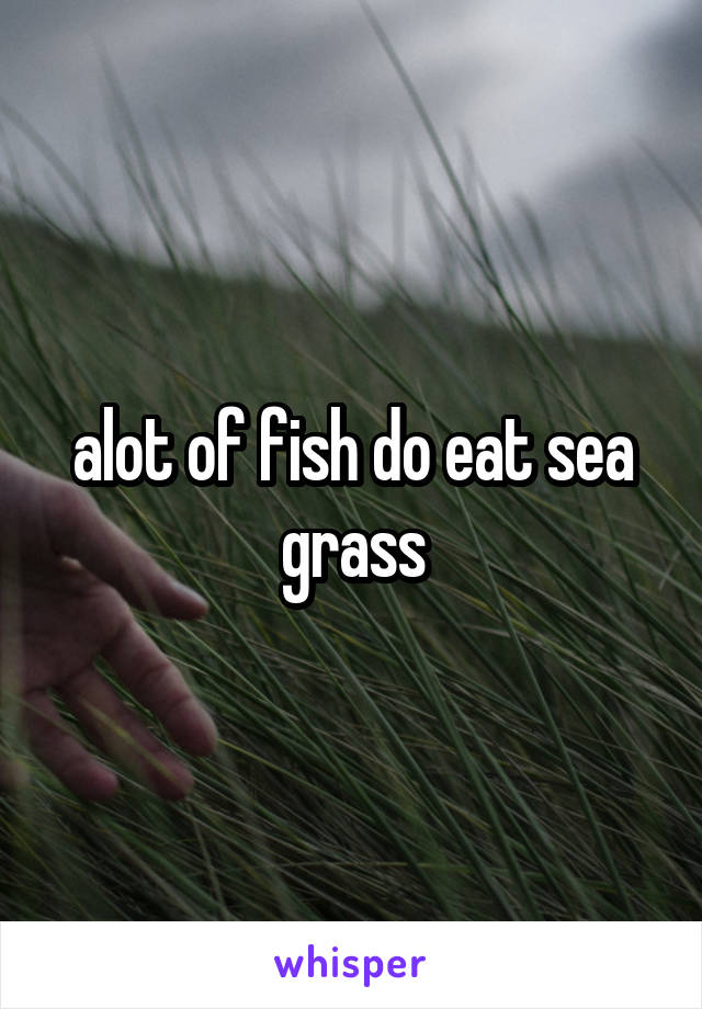 alot of fish do eat sea grass