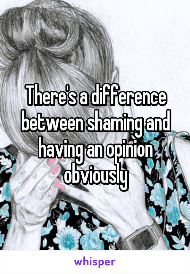 There's a difference between shaming and having an opinion obviously