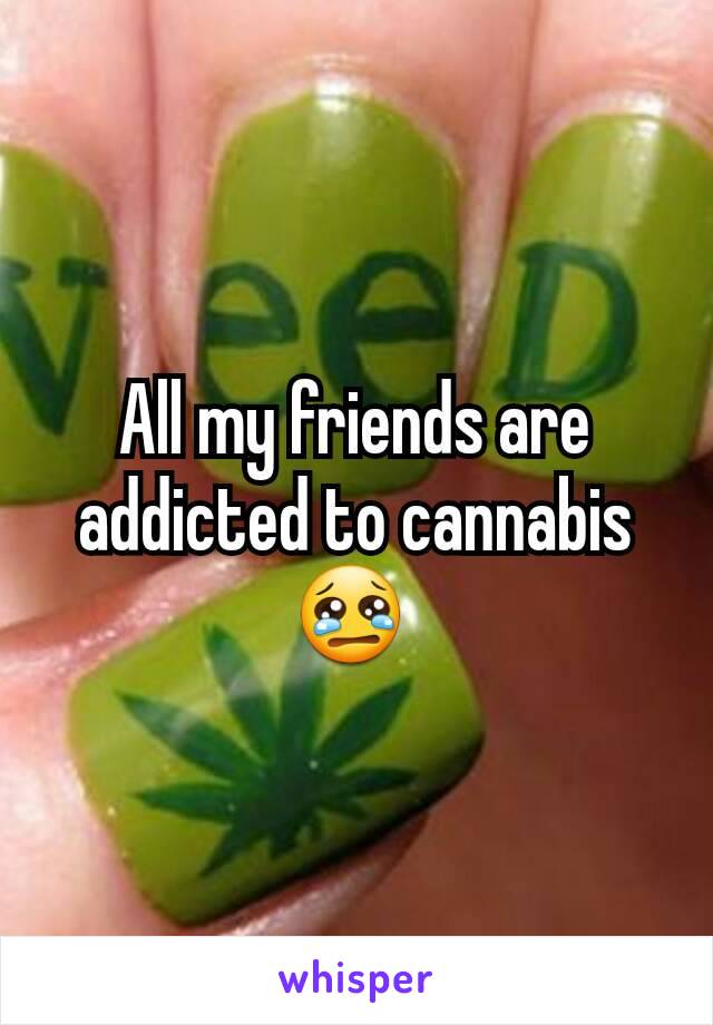 All my friends are addicted to cannabis 😢 