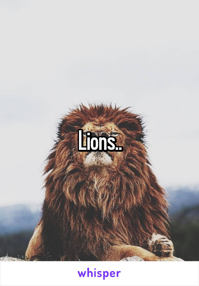 Lions..