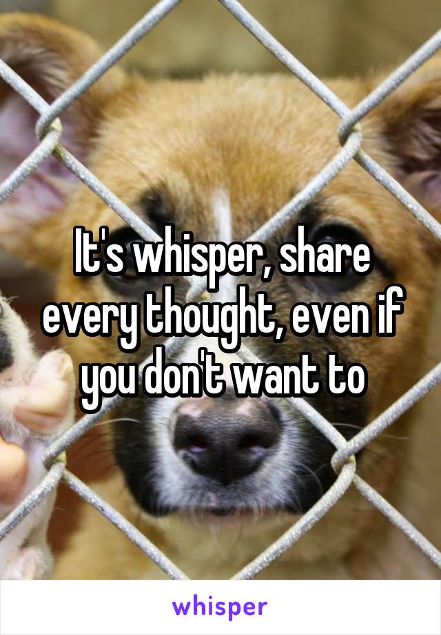 It's whisper, share every thought, even if you don't want to