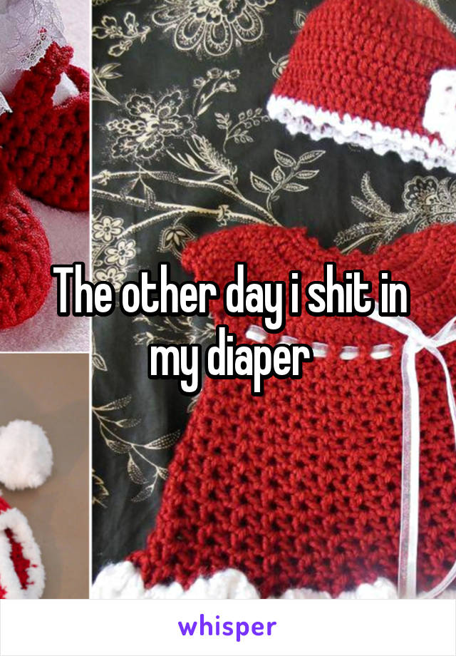 The other day i shit in my diaper