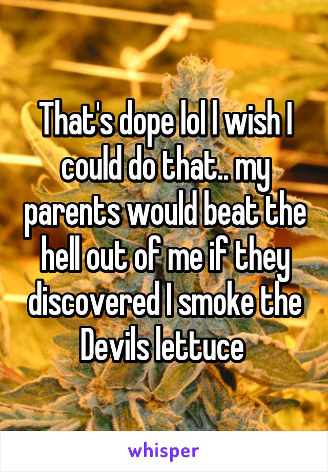 That's dope lol l wish I could do that.. my parents would beat the hell out of me if they discovered I smoke the Devils lettuce 