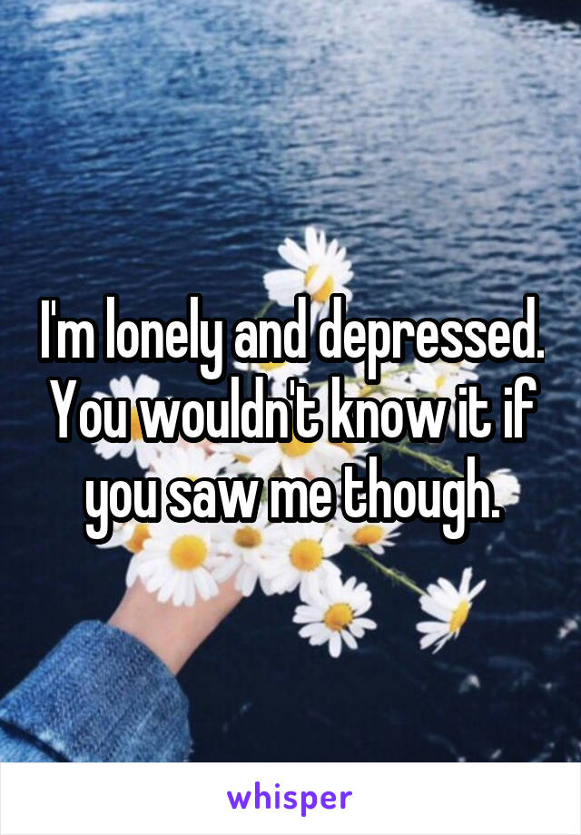 I'm lonely and depressed. You wouldn't know it if you saw me though.