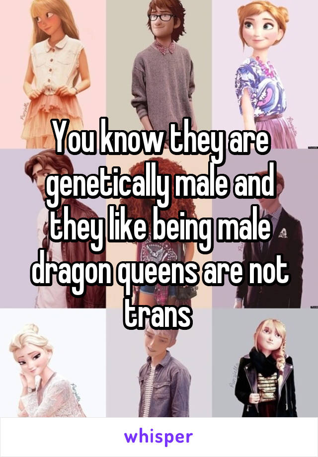 You know they are genetically male and they like being male dragon queens are not trans 