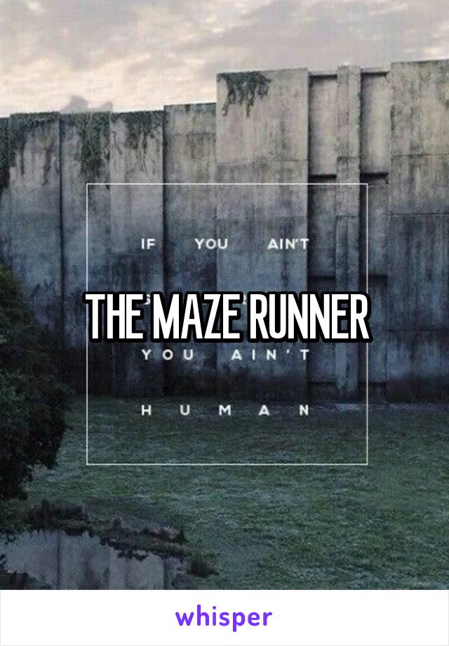 THE MAZE RUNNER