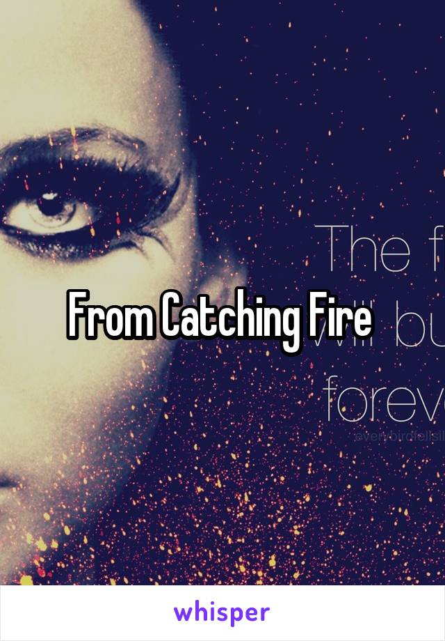 From Catching Fire 