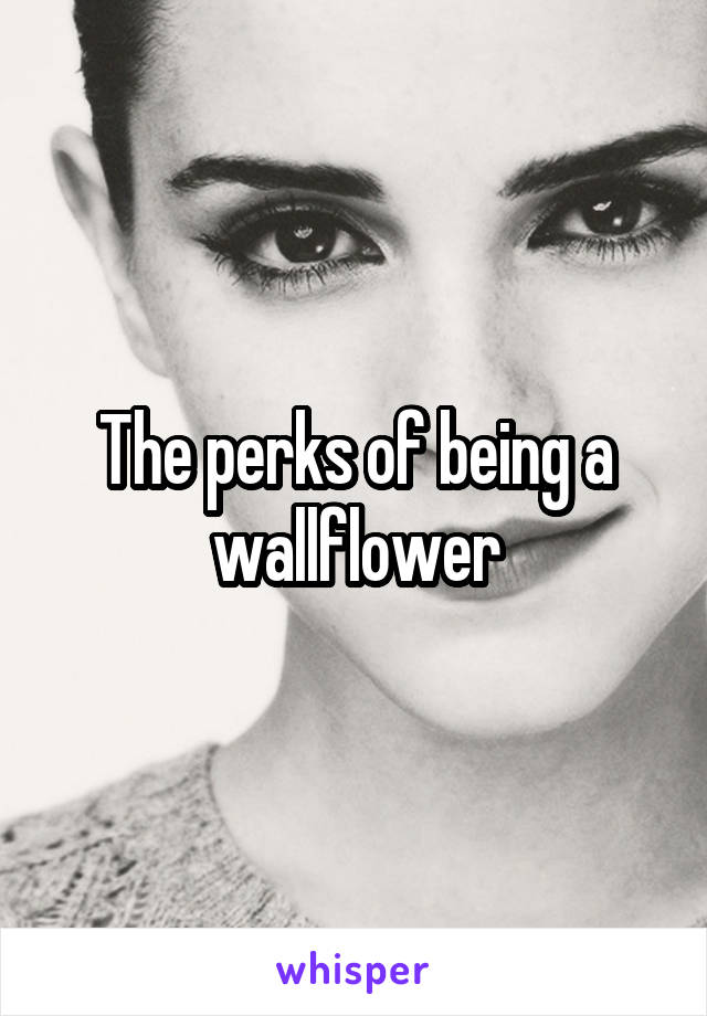 The perks of being a wallflower