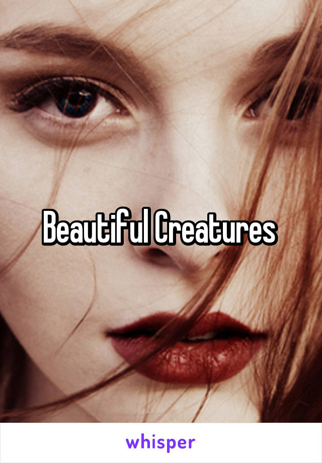 Beautiful Creatures 