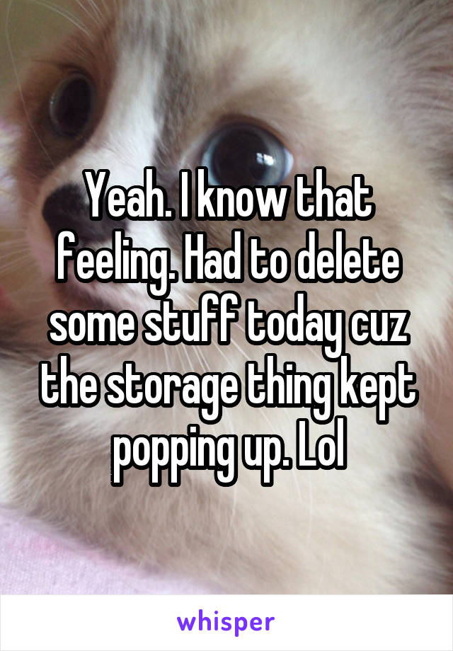 Yeah. I know that feeling. Had to delete some stuff today cuz the storage thing kept popping up. Lol