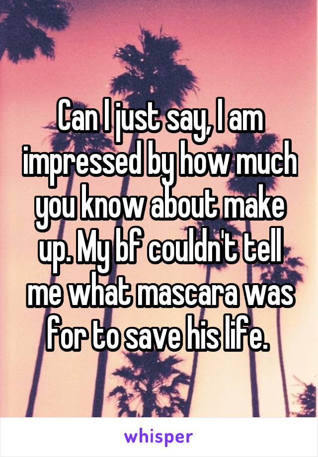 Can I just say, I am impressed by how much you know about make up. My bf couldn't tell me what mascara was for to save his life. 