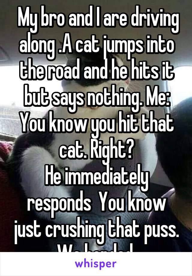  My bro and I are driving along .A cat jumps into the road and he hits it but says nothing. Me: You know you hit that cat. Right?
He immediately responds  You know just crushing that puss. We bonded 