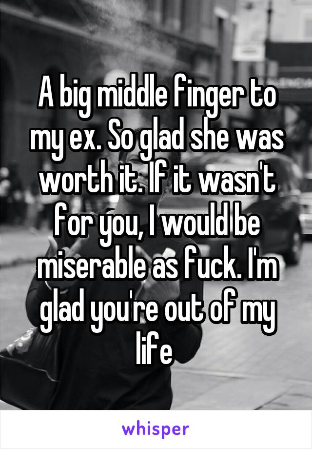 A big middle finger to my ex. So glad she was worth it. If it wasn't for you, I would be miserable as fuck. I'm glad you're out of my life 