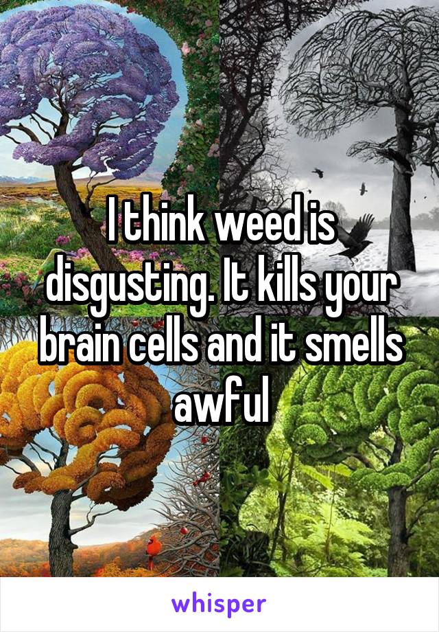 I think weed is disgusting. It kills your brain cells and it smells awful