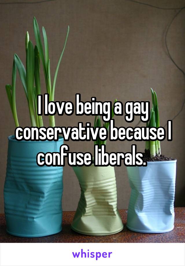 I love being a gay conservative because I confuse liberals. 