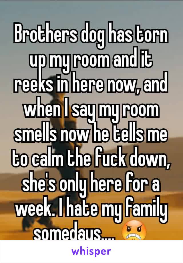 Brothers dog has torn up my room and it reeks in here now, and when I say my room smells now he tells me to calm the fuck down, she's only here for a week. I hate my family somedays.... 😠