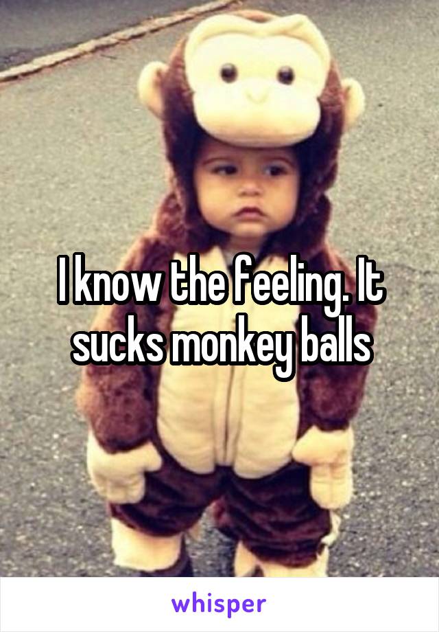 I know the feeling. It sucks monkey balls