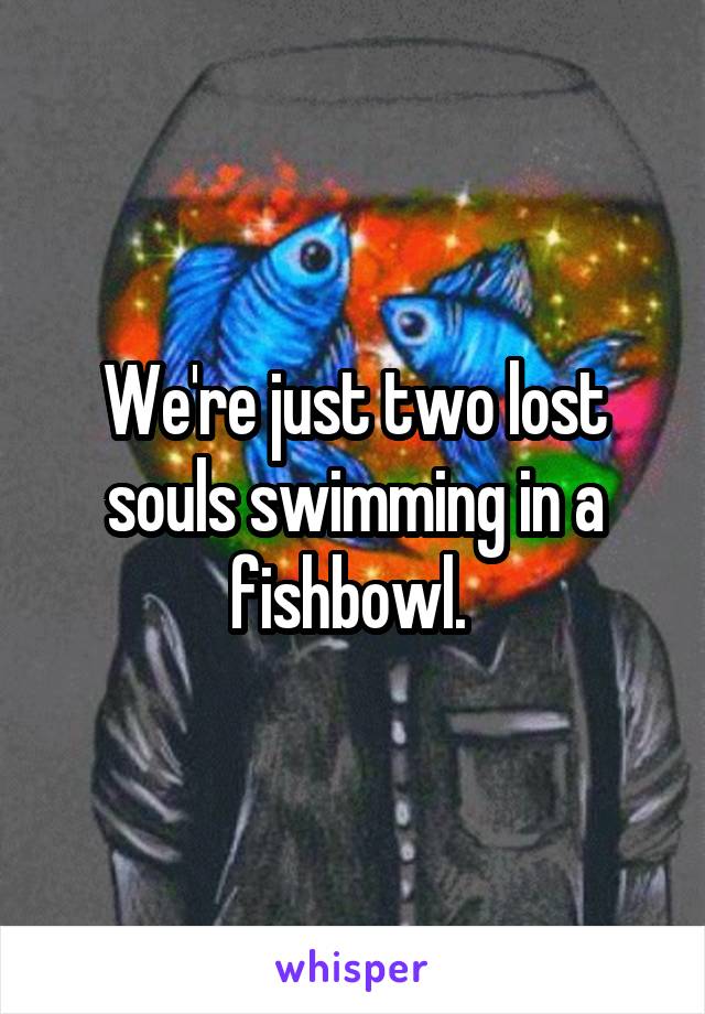 We're just two lost souls swimming in a fishbowl. 