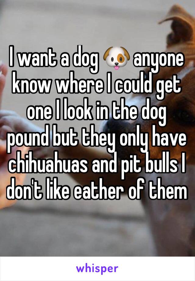 I want a dog 🐶 anyone know where I could get one I look in the dog pound but they only have chihuahuas and pit bulls I don't like eather of them 