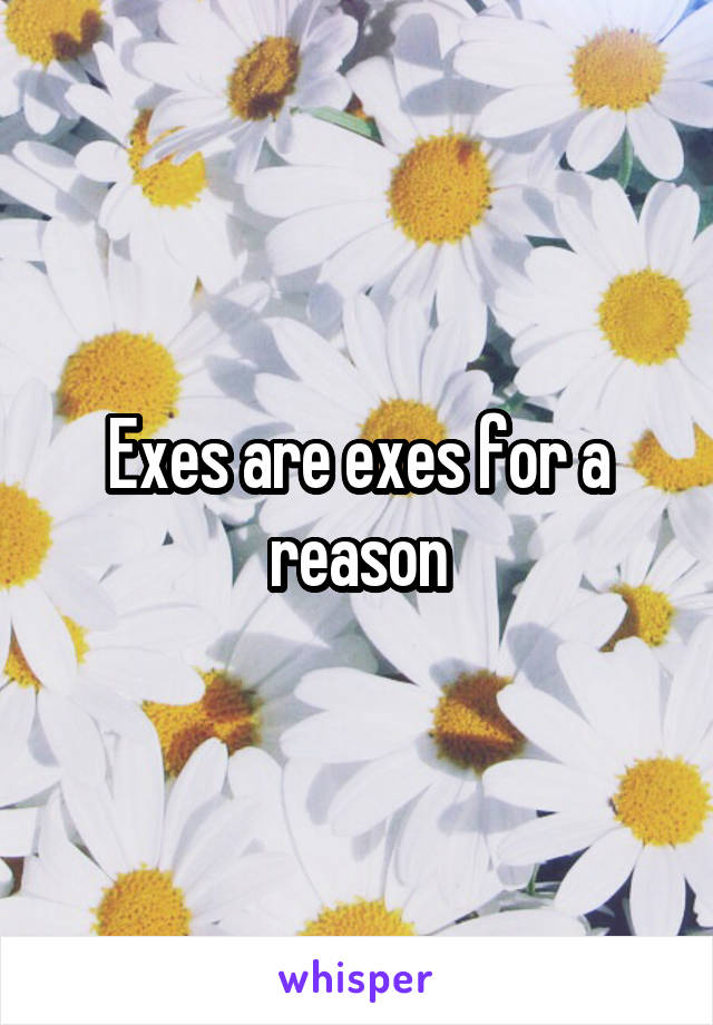 Exes are exes for a reason