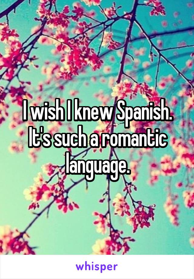 I wish I knew Spanish.
It's such a romantic language.
