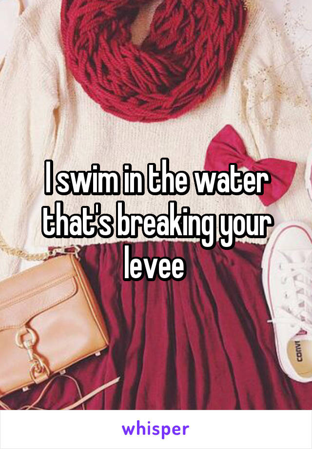 I swim in the water that's breaking your levee 