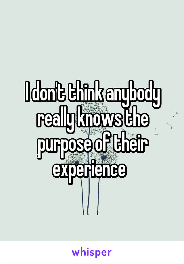 I don't think anybody really knows the purpose of their experience  