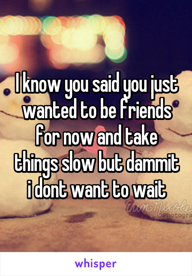 I know you said you just wanted to be friends for now and take things slow but dammit i dont want to wait