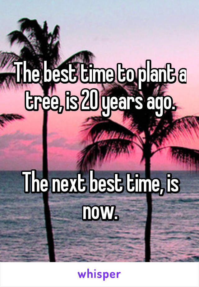 The best time to plant a tree, is 20 years ago.


The next best time, is now.