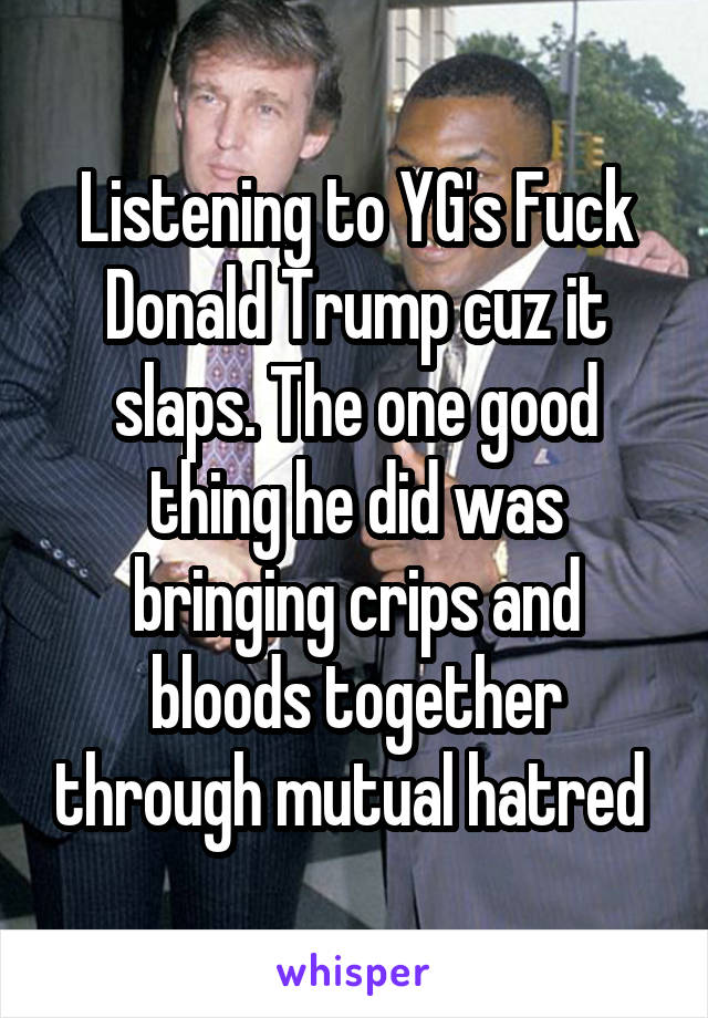 Listening to YG's Fuck Donald Trump cuz it slaps. The one good thing he did was bringing crips and bloods together through mutual hatred 