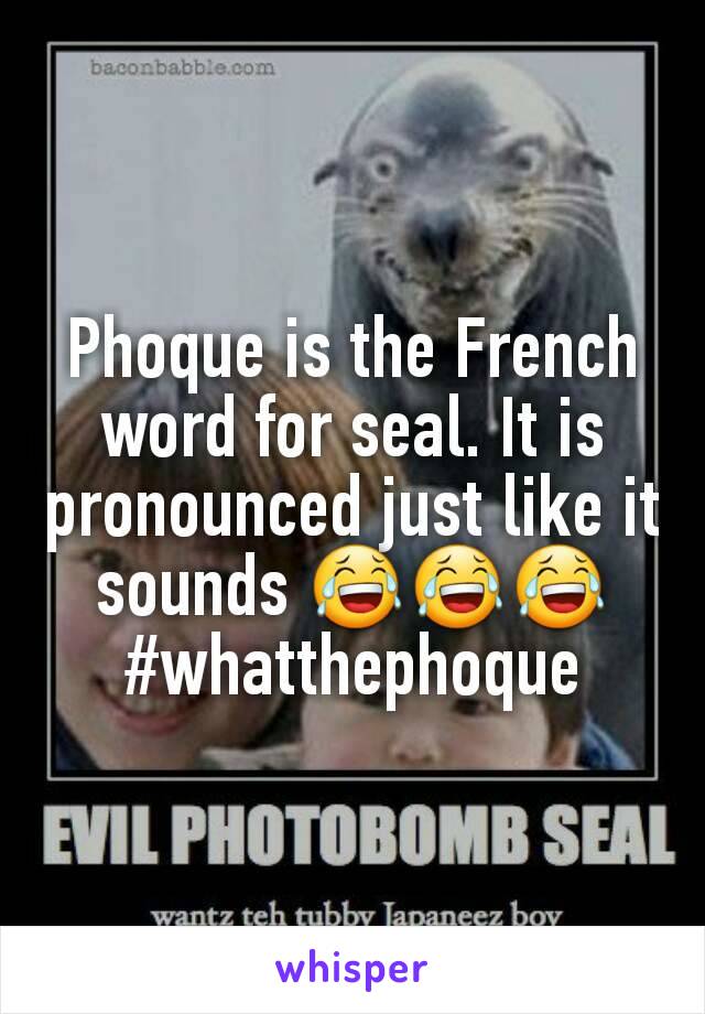 Phoque is the French word for seal. It is pronounced just like it sounds 😂😂😂
#whatthephoque