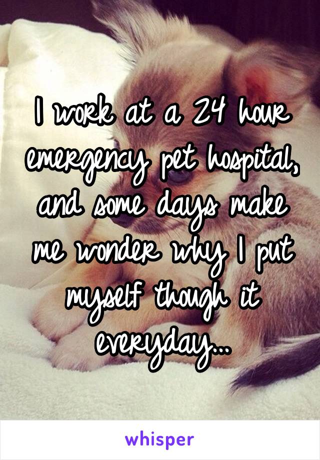 I work at a 24 hour emergency pet hospital, and some days make me wonder why I put myself though it everyday...