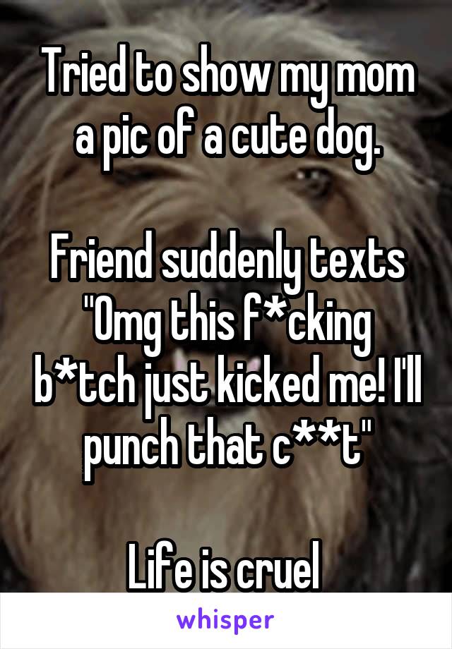 Tried to show my mom a pic of a cute dog.

Friend suddenly texts
"Omg this f*cking b*tch just kicked me! I'll punch that c**t"

Life is cruel 