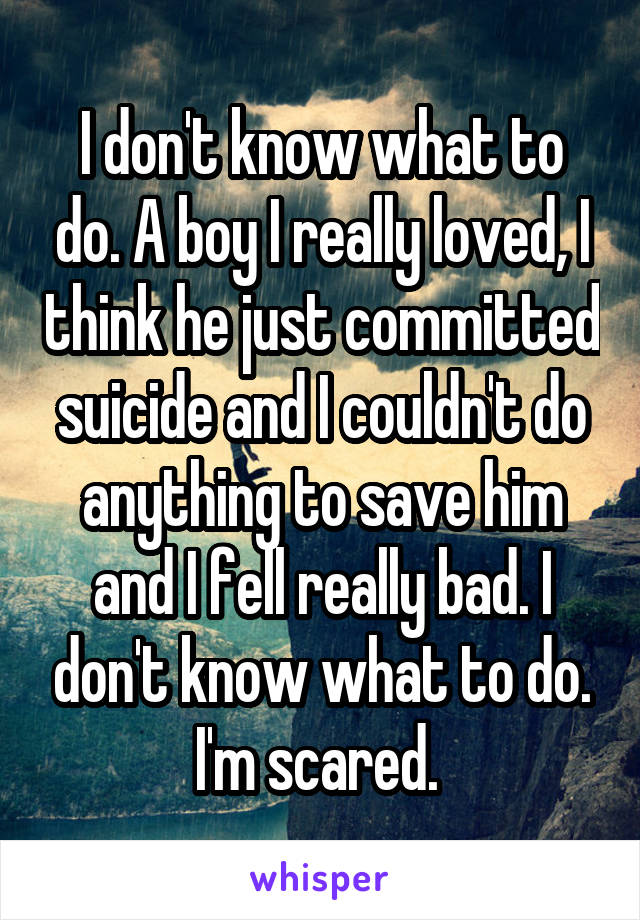 I don't know what to do. A boy I really loved, I think he just committed suicide and I couldn't do anything to save him and I fell really bad. I don't know what to do. I'm scared. 