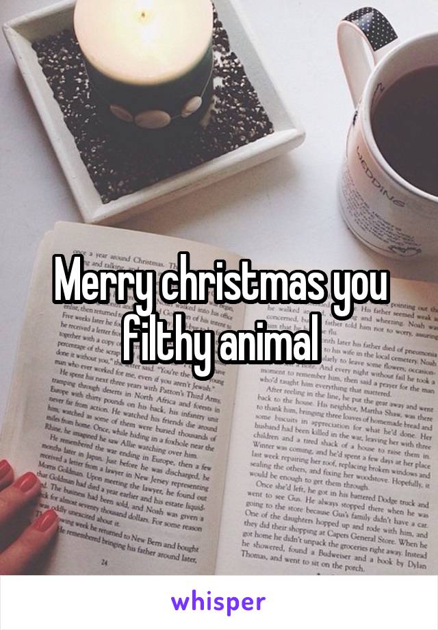 Merry christmas you filthy animal