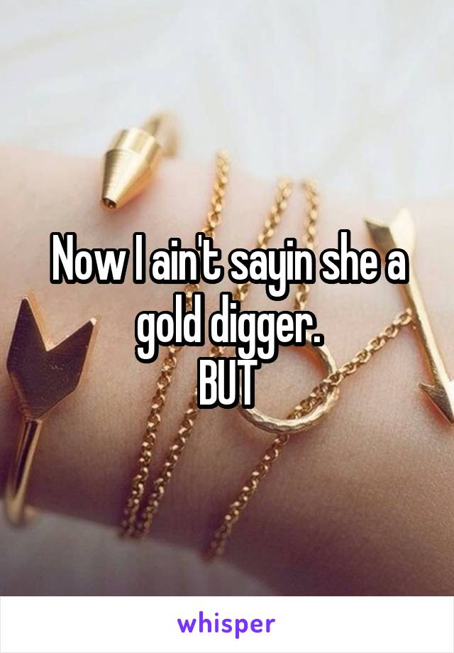 Now I ain't sayin she a gold digger.
BUT