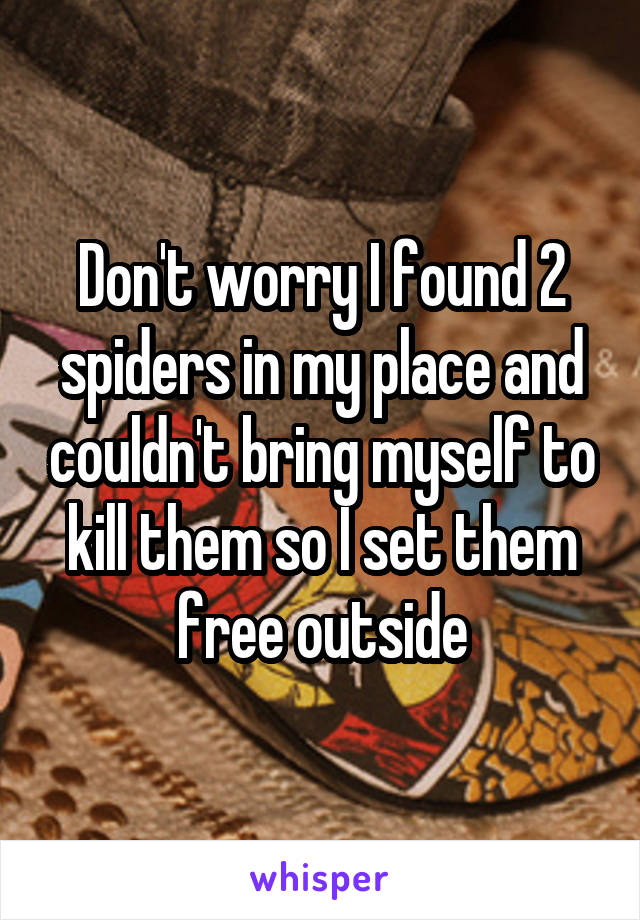 Don't worry I found 2 spiders in my place and couldn't bring myself to kill them so I set them free outside