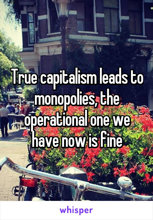 True capitalism leads to monopolies, the operational one we have now is fine