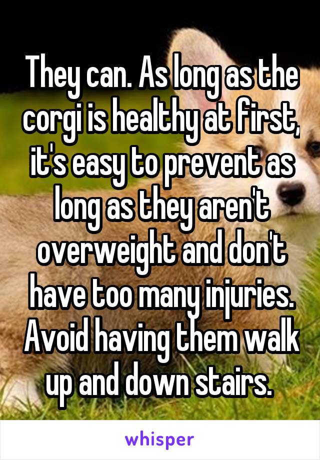 They can. As long as the corgi is healthy at first, it's easy to prevent as long as they aren't overweight and don't have too many injuries. Avoid having them walk up and down stairs. 